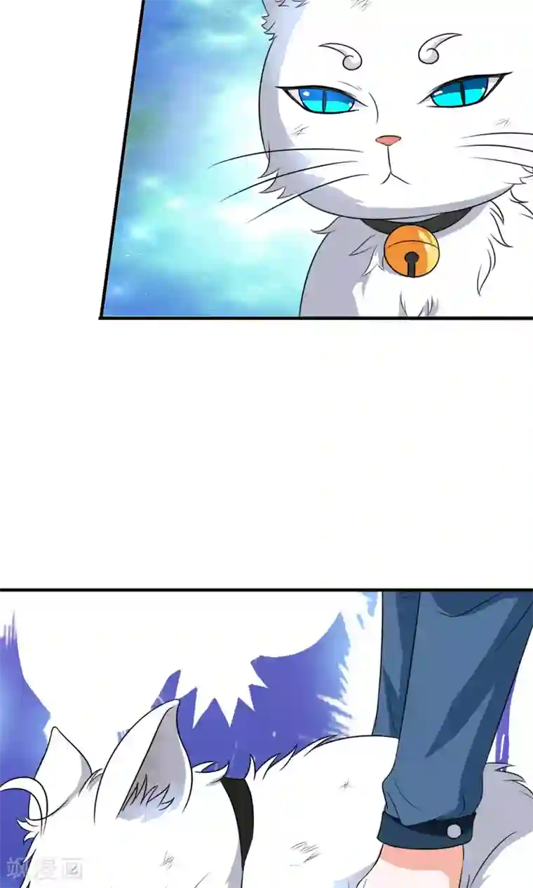 腹黑猫妖别卖萌第25话 能力觉醒