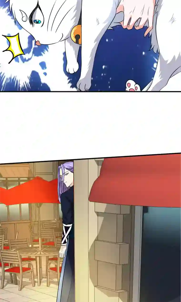 腹黑猫妖别卖萌第25话 能力觉醒