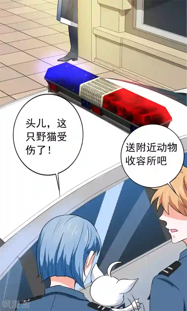 腹黑猫妖别卖萌第25话 能力觉醒