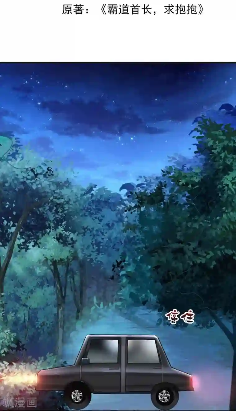 霸道首长求抱抱第11话 这女人，究竟是什么人