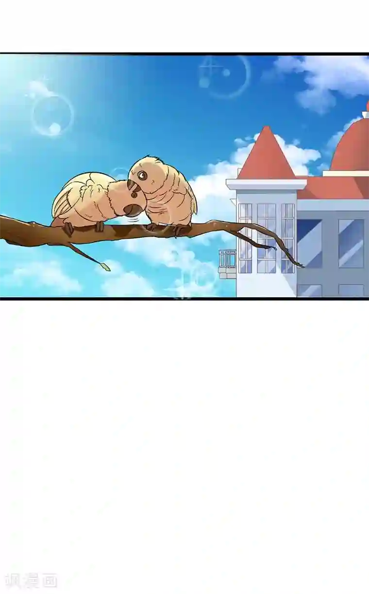 一夜未了情：总裁别太坏第54话 玩物而已