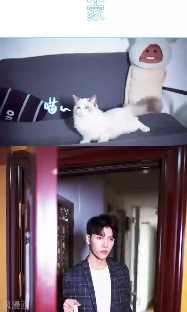 闪婚老公太能干第16话