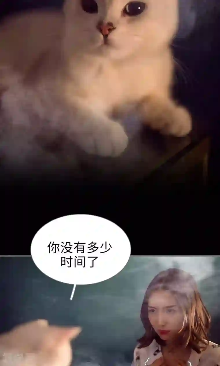 撩汉小能手第99话