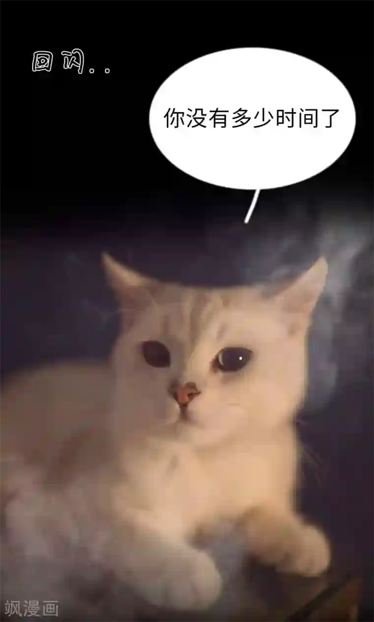 撩汉小能手第99话