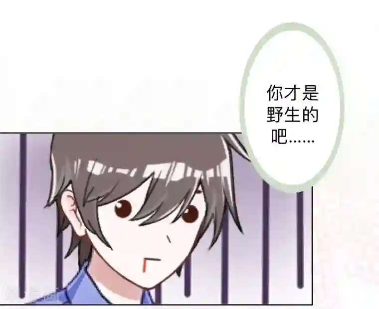 不想做娇妻第11话 捕捉一只野生女神！