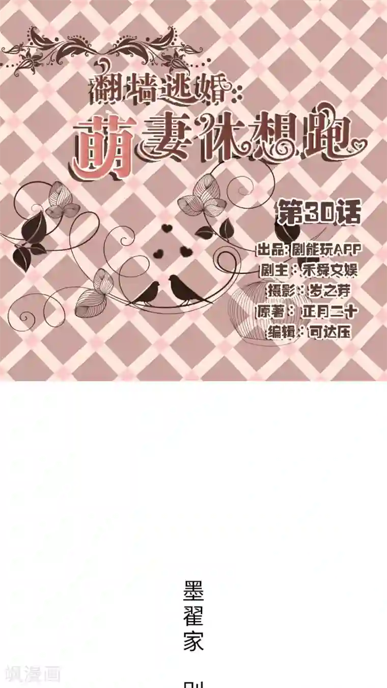 翻墙逃婚：萌妻休想跑第30话
