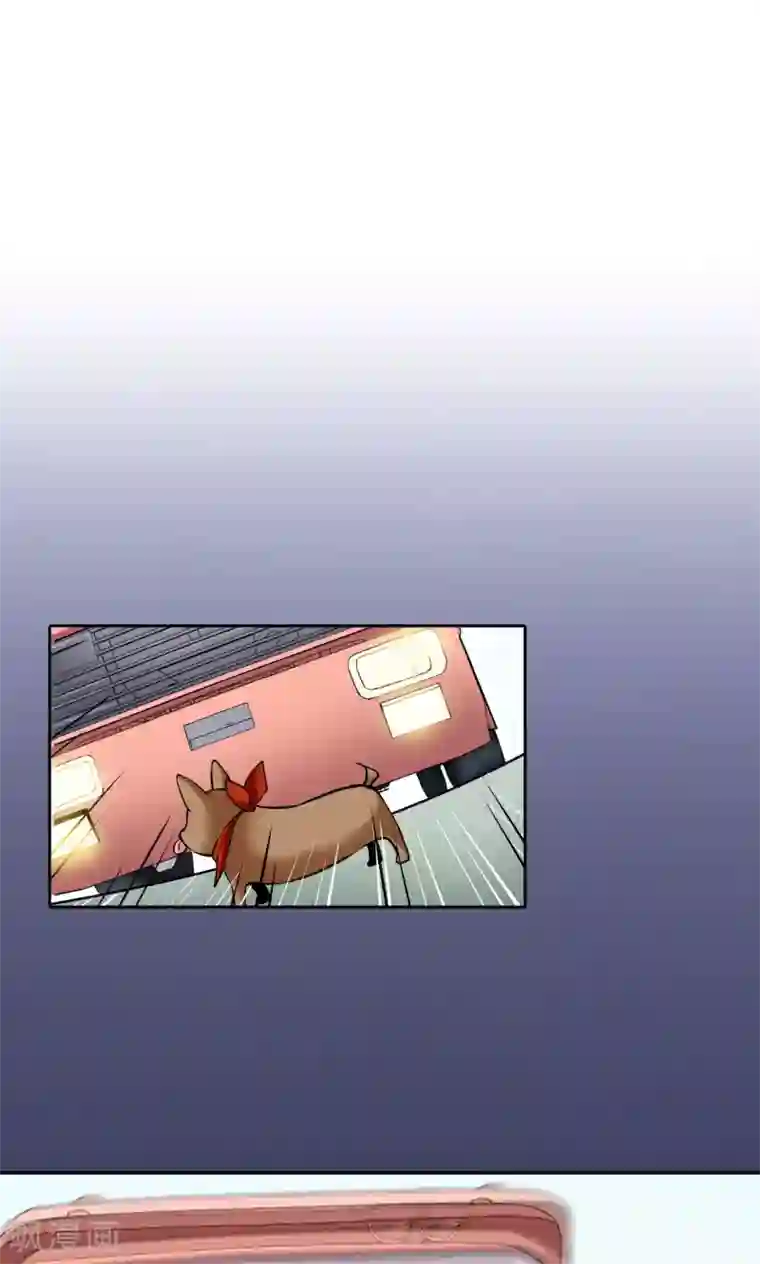 心机BOY指导手册预告