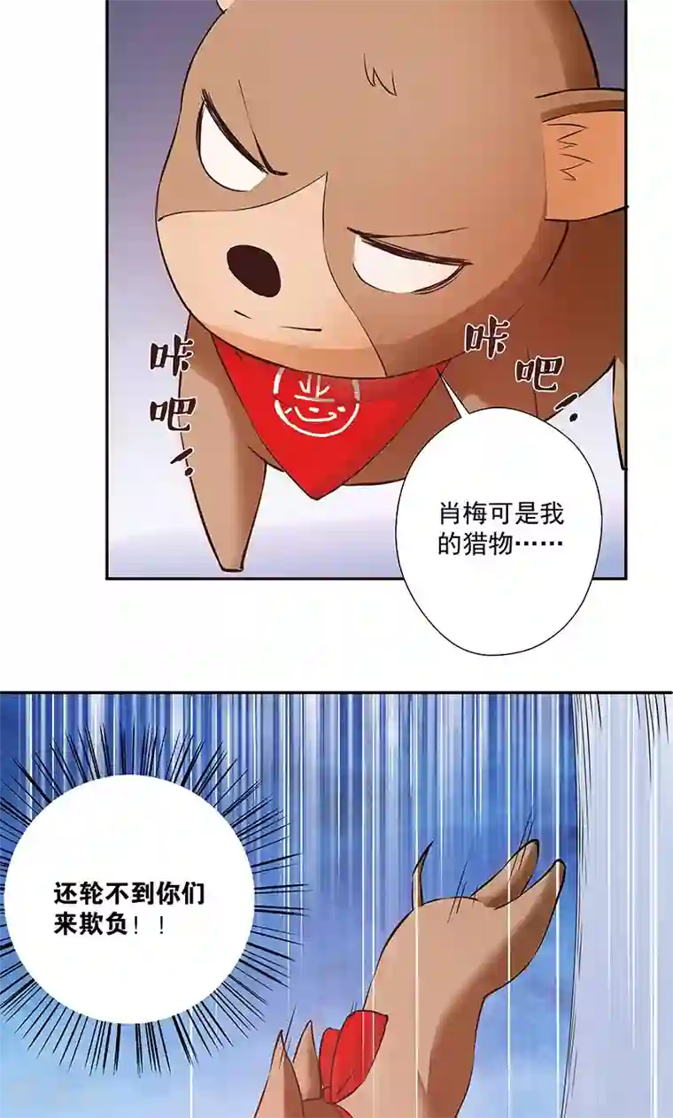 心机BOY指导手册第13话 武官大小姐