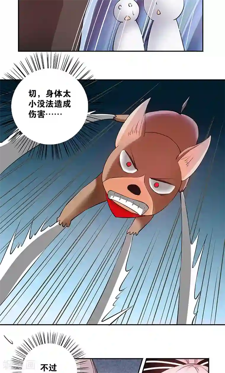 心机BOY指导手册第13话 武官大小姐