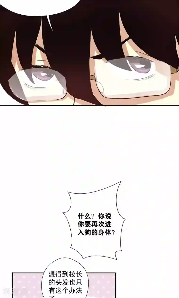 心机BOY指导手册第15话 幸好你蠢