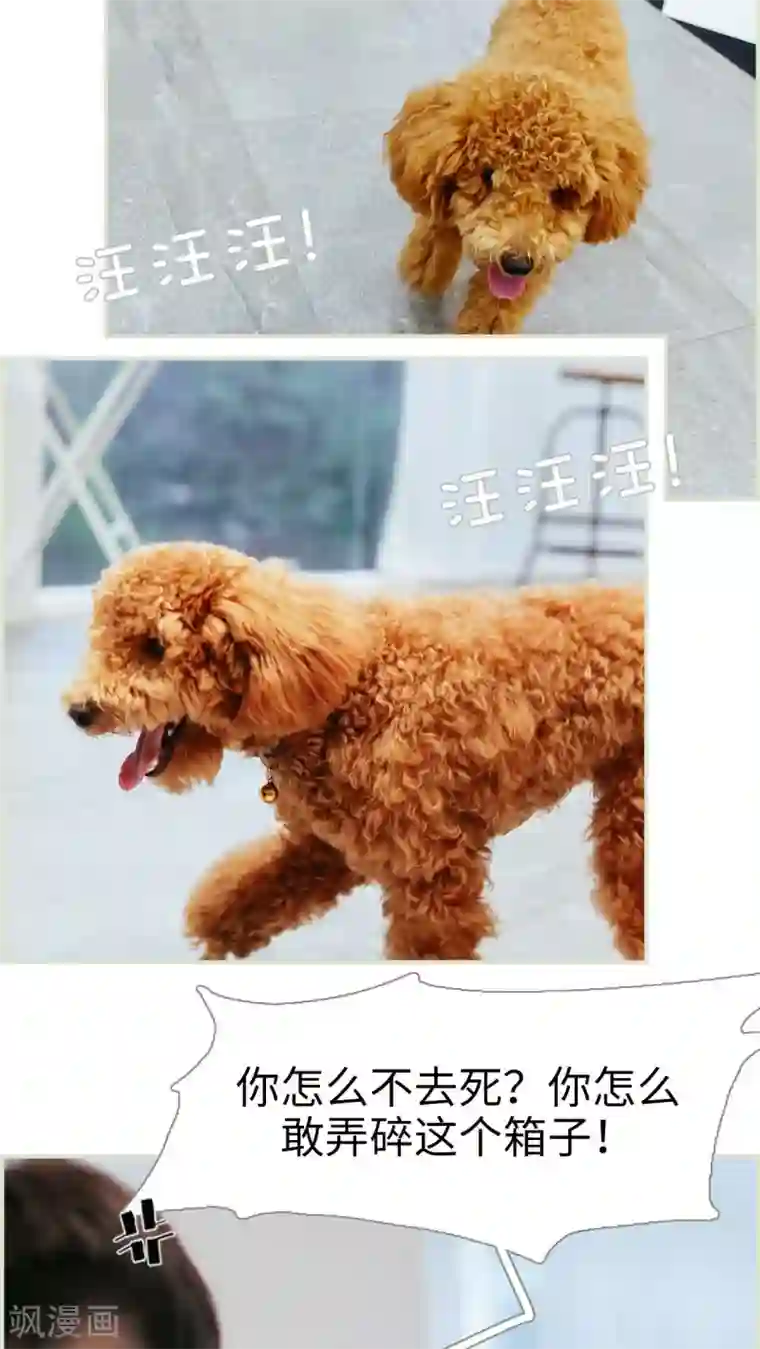 乖嫩甜妻第28话