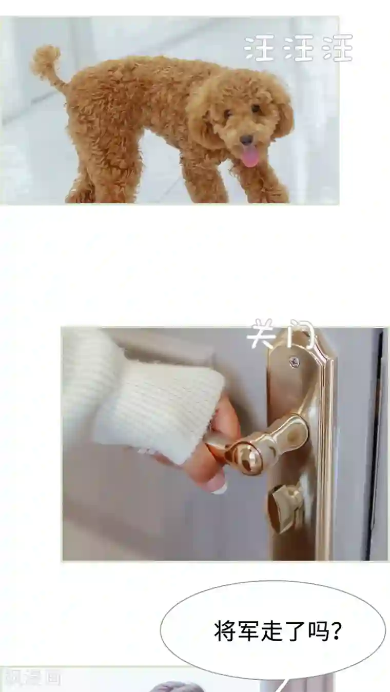 乖嫩甜妻第42话