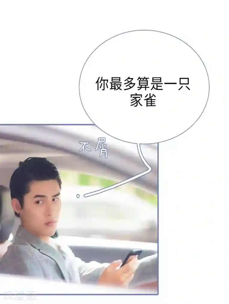 宠妻攻略：狼性首席夜夜欢第33话