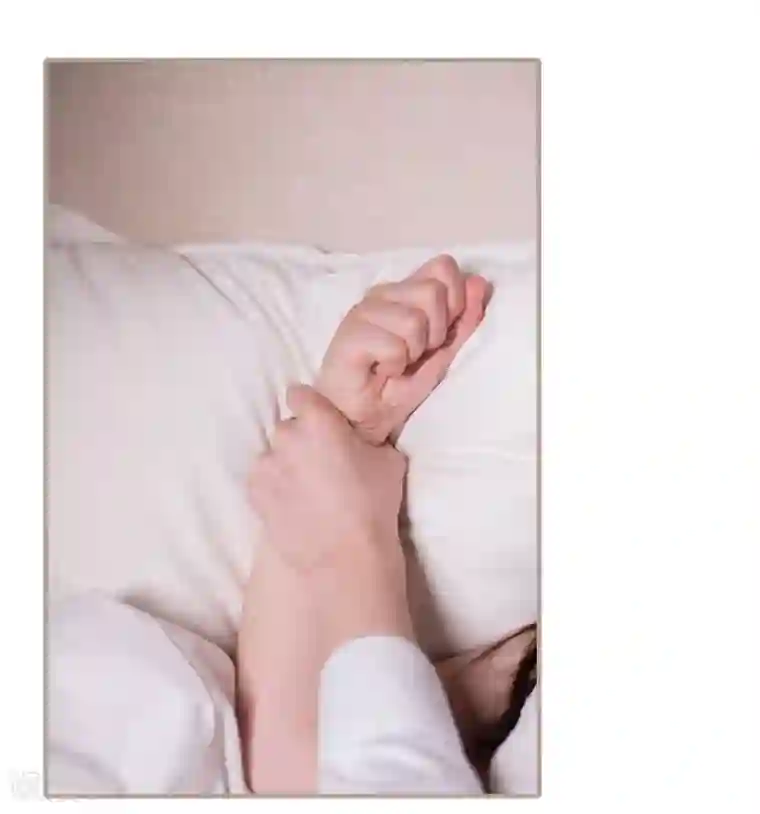 报复游戏：绑来的女佣第12话