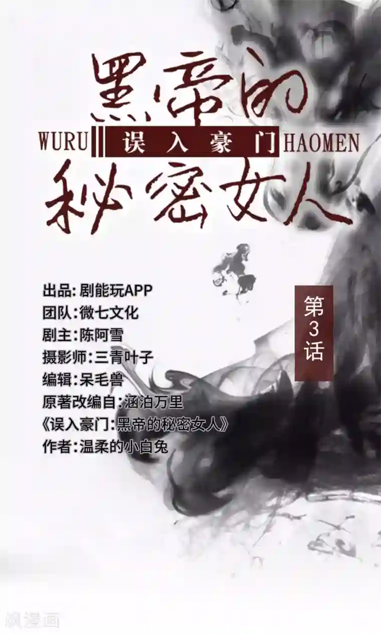 误入豪门：黑帝的秘密女人第3话