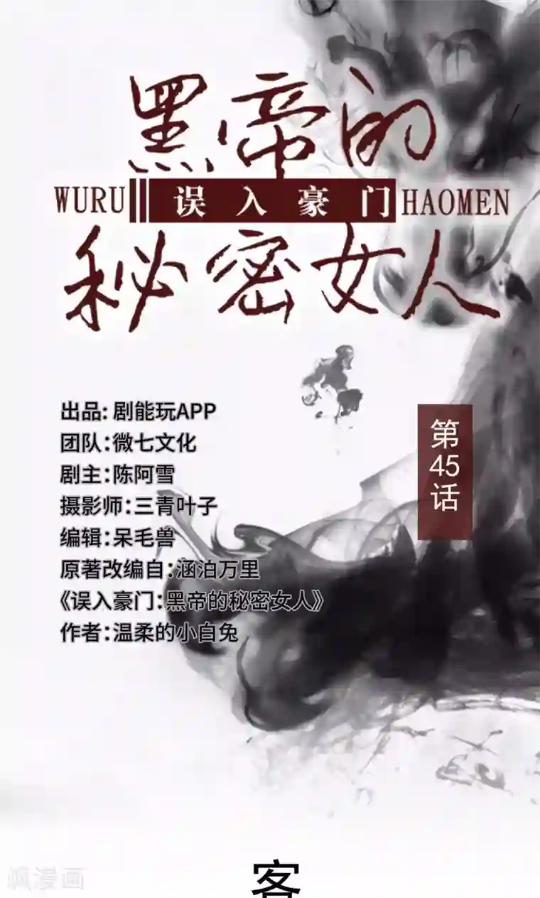 误入豪门：黑帝的秘密女人第45话