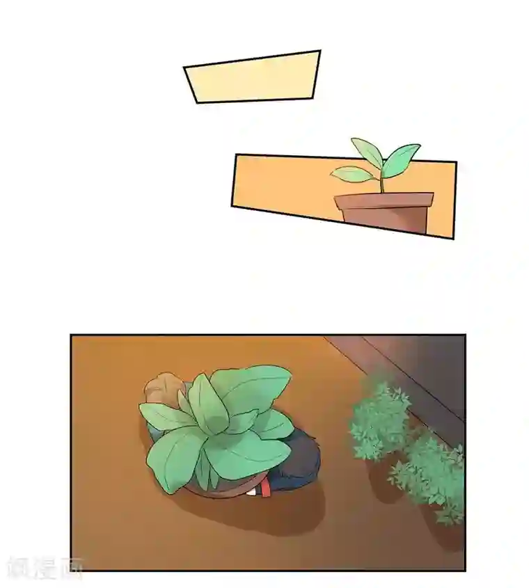 把我交给狼主任第24话