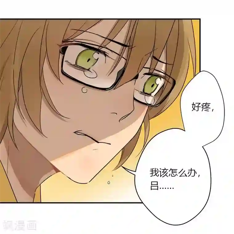 把我交给狼主任第36话