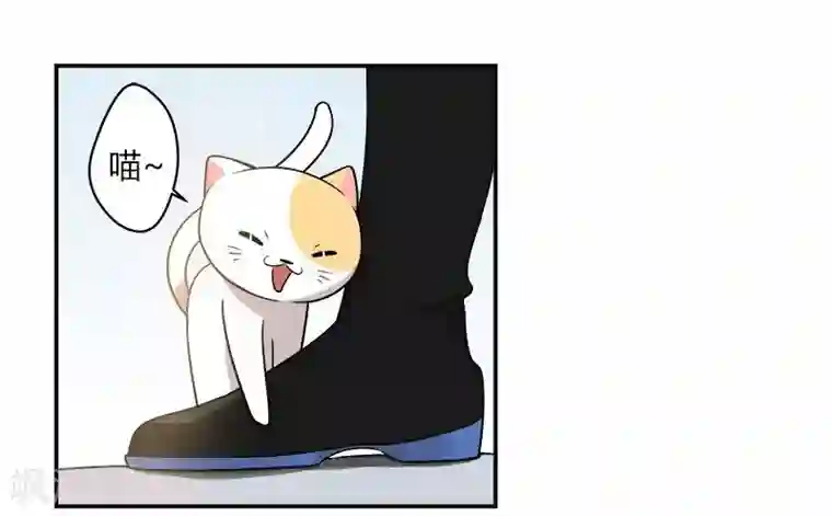 把我交给狼主任第42话