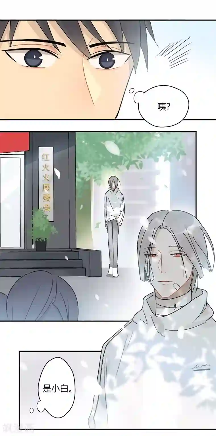 把我交给狼主任第57话