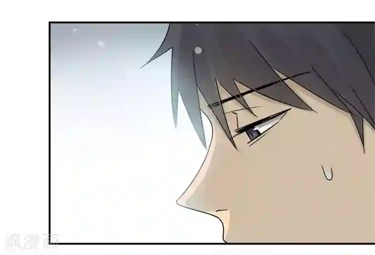 把我交给狼主任第65话