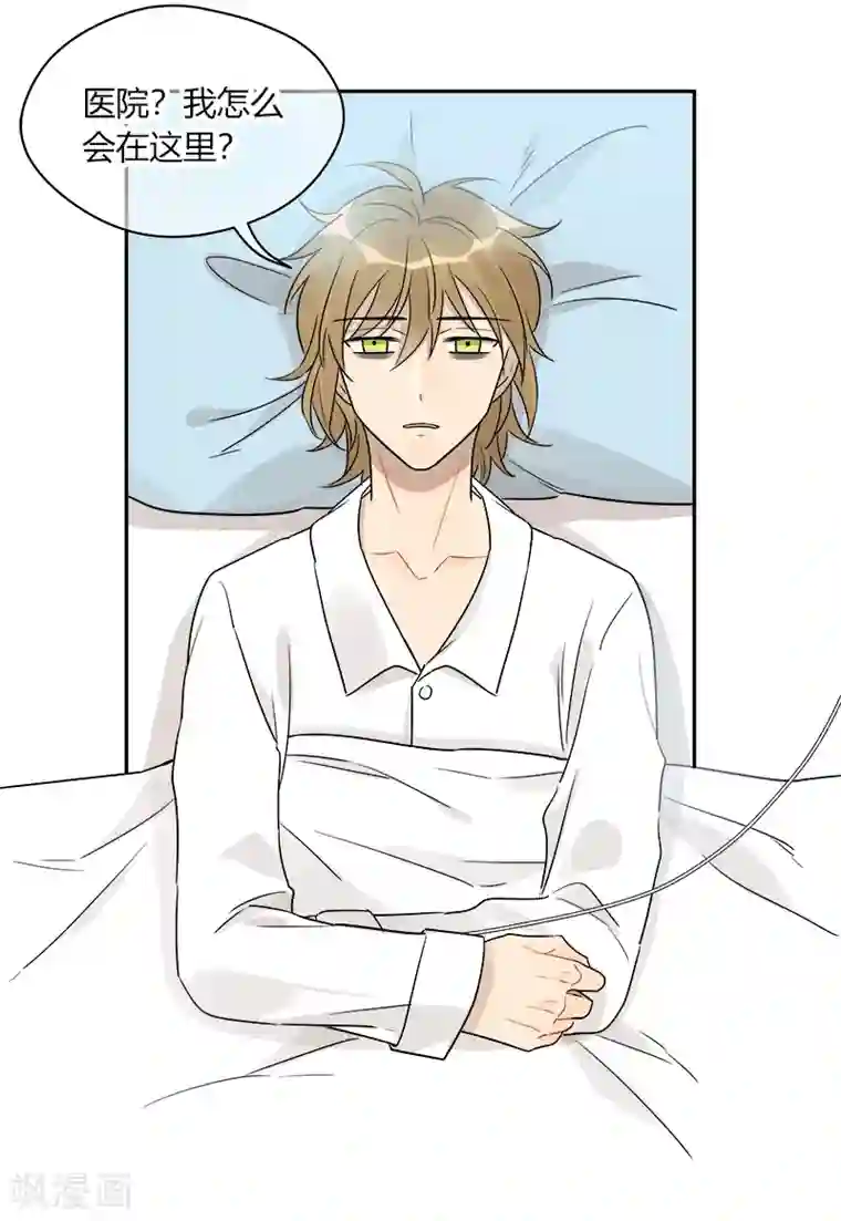 把我交给狼主任第70话