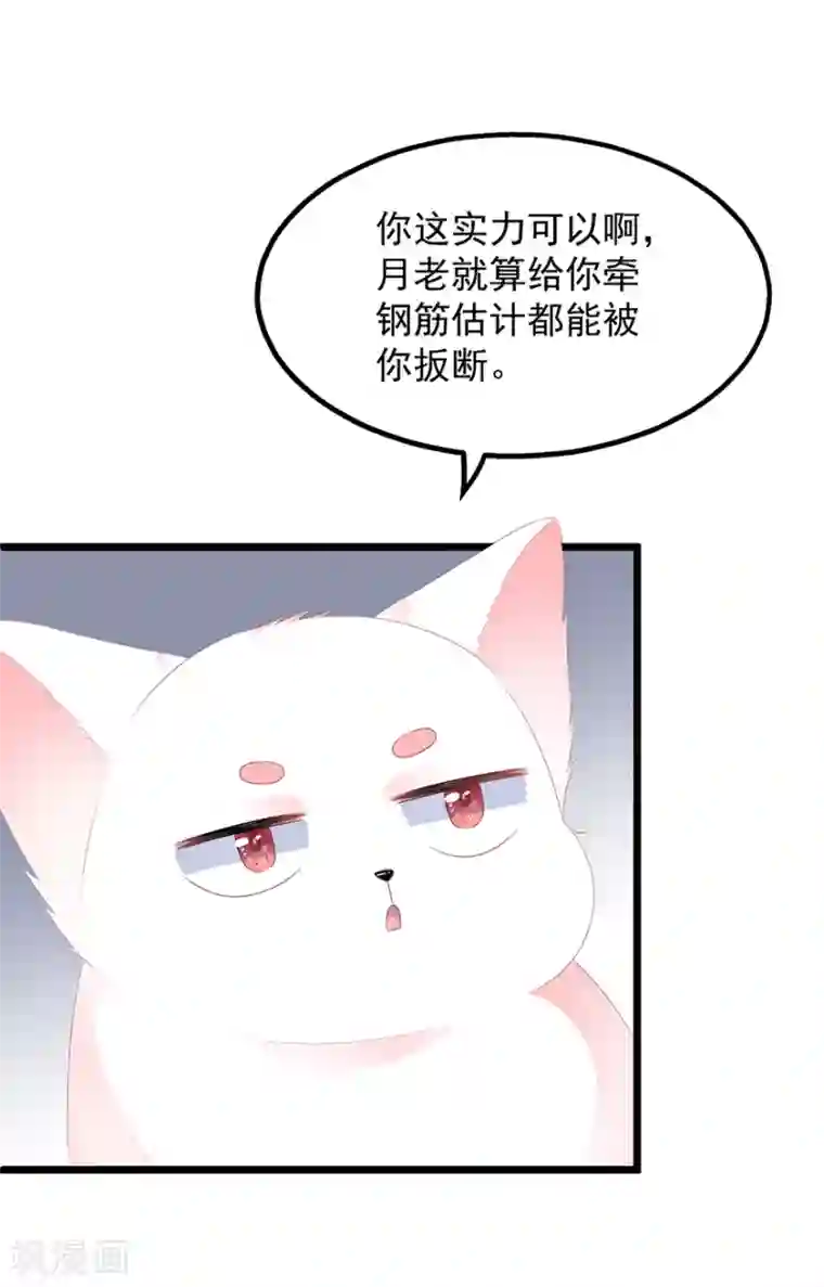 狐妃,别惹我第28话 偶遇渣男