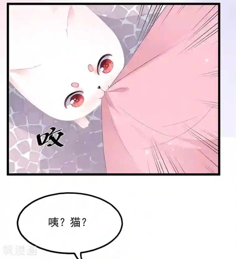 狐妃,别惹我第28话 偶遇渣男