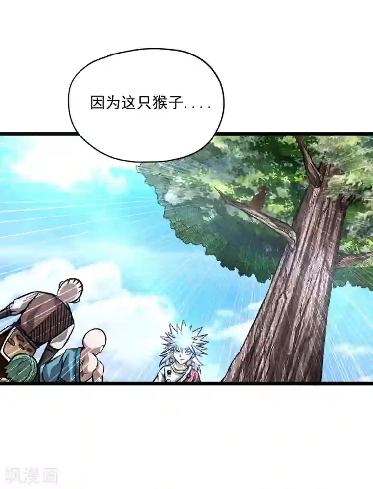 百魂灵约第2季103话 灵猴的挑衅