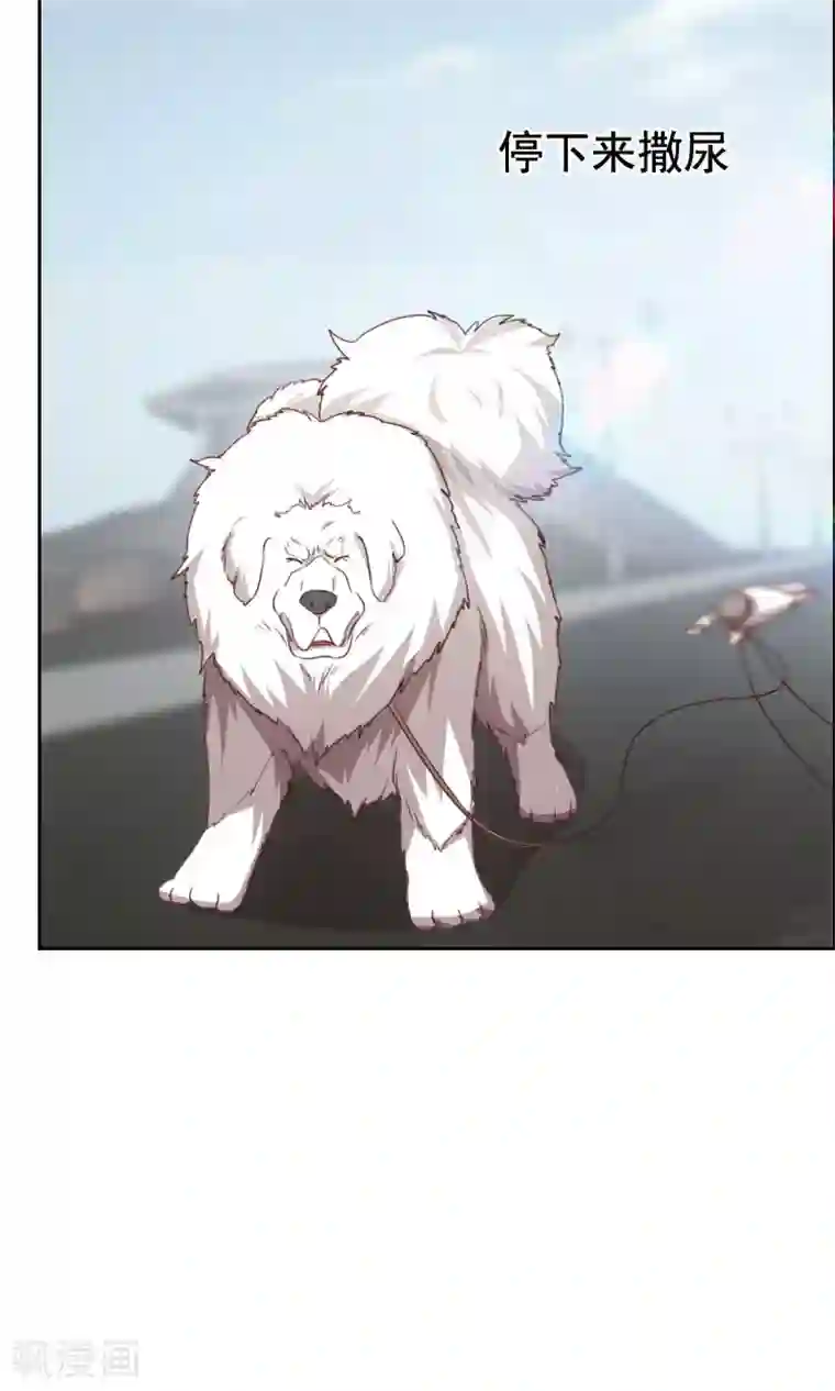 贴身御医第51话