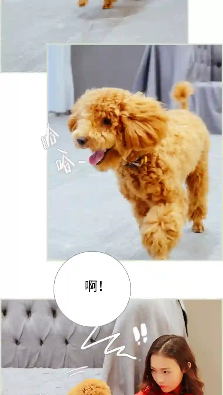 乖嫩甜妻第22话