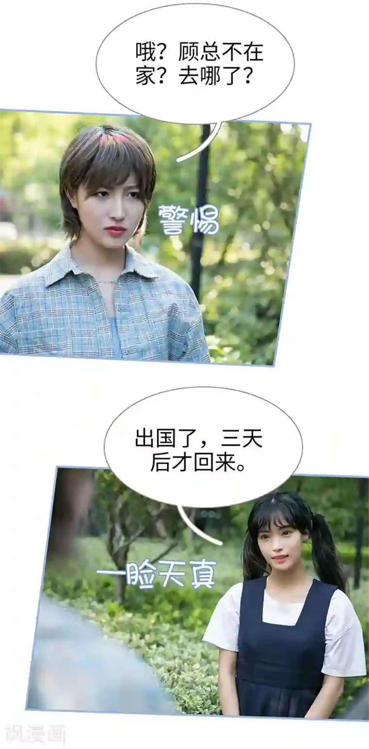 特工女佣不好惹第31话