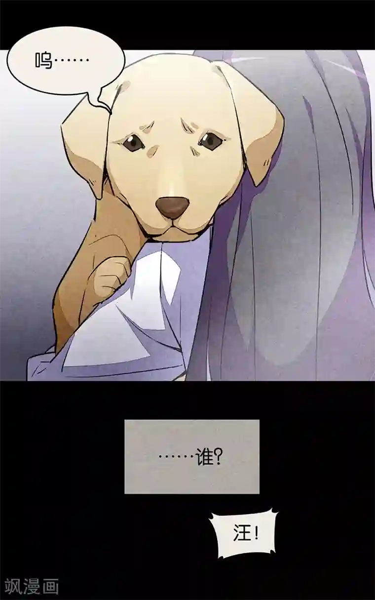 百诡谈第9话1 爱犬