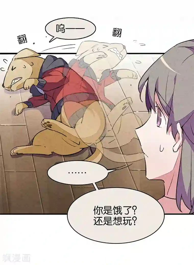 百诡谈第9话2 爱犬