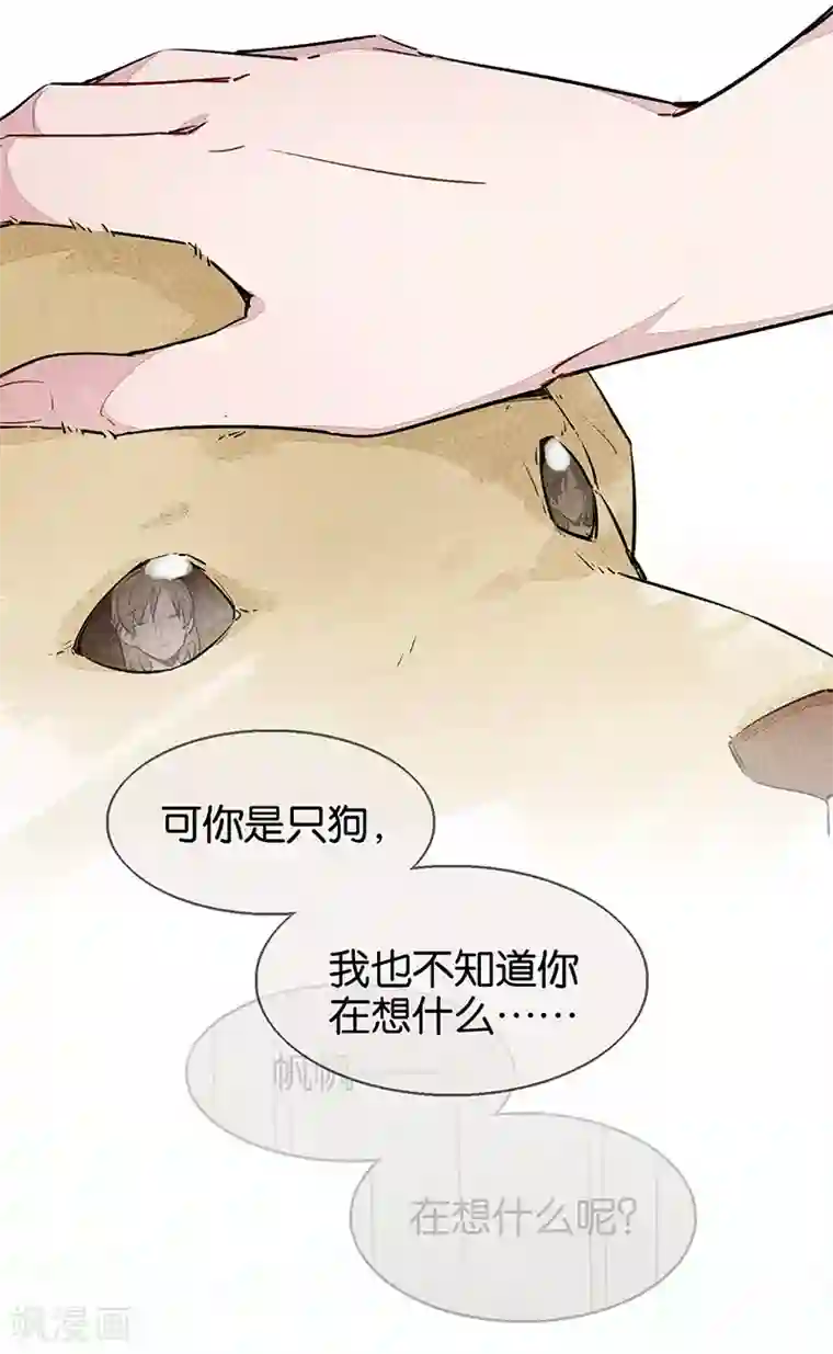 百诡谈第9话2 爱犬