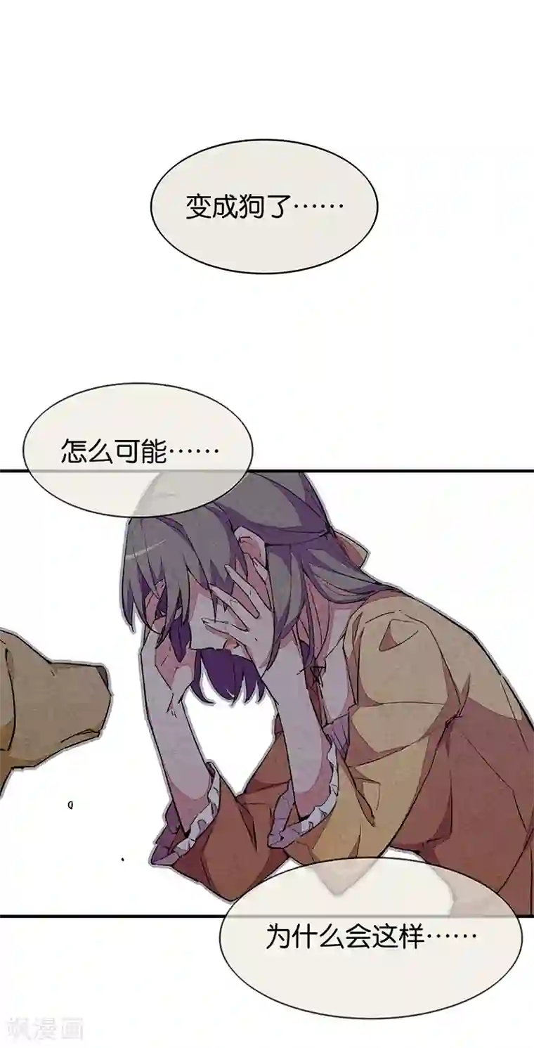 百诡谈第9话2 爱犬