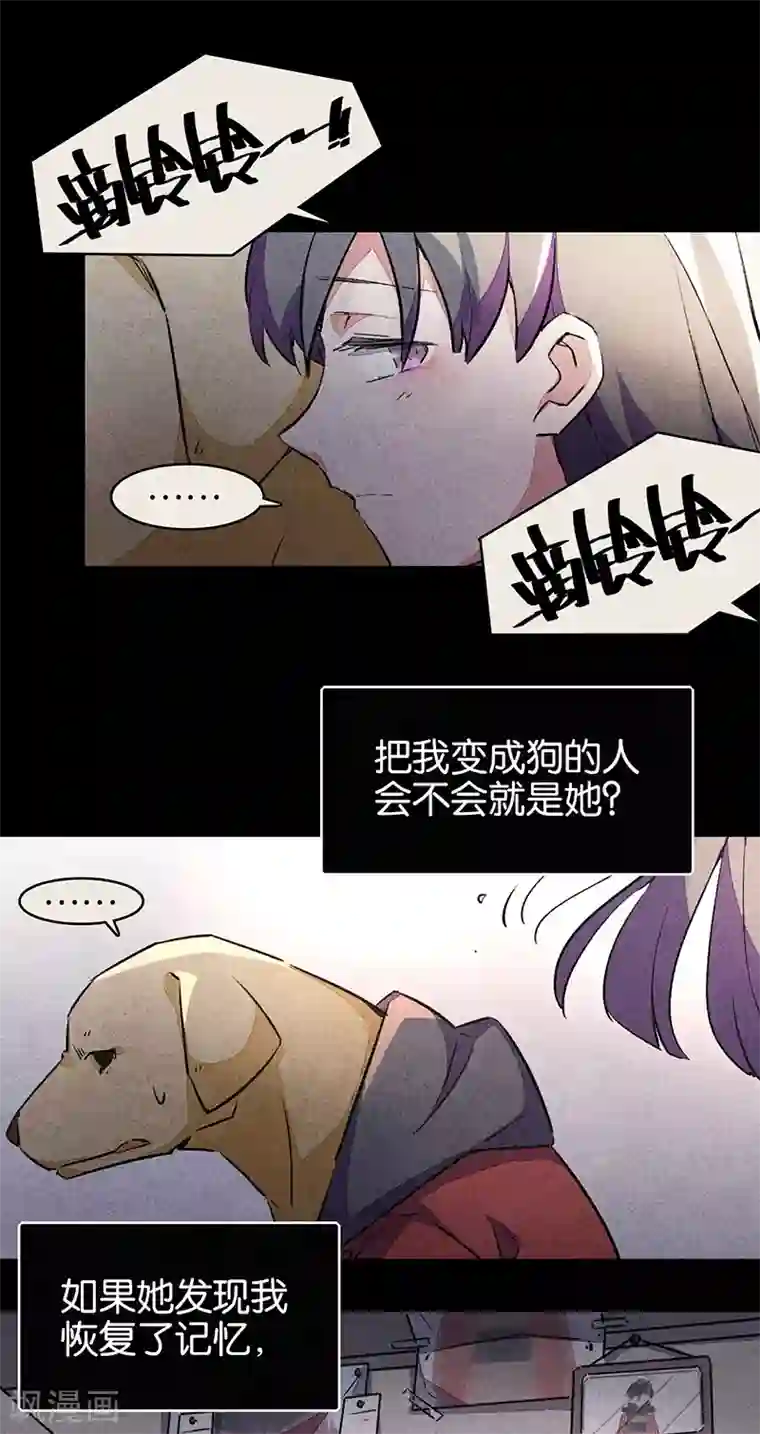 百诡谈第9话2 爱犬