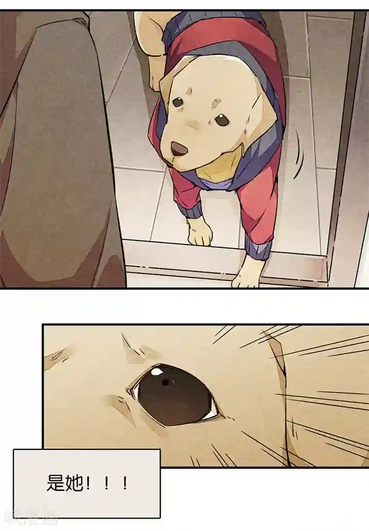 百诡谈第9话2 爱犬