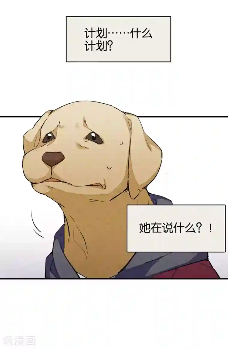 百诡谈第9话3 爱犬