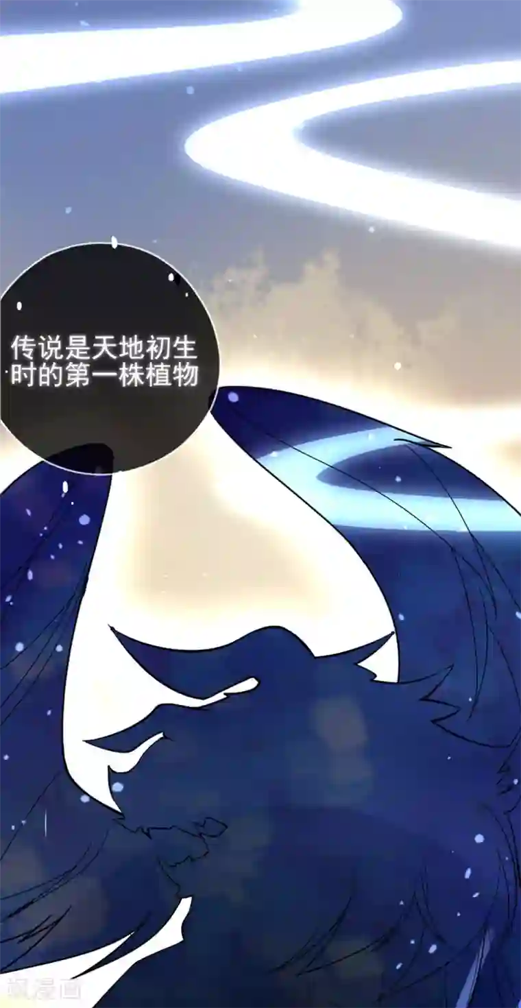 本王妃神藤在手第1话