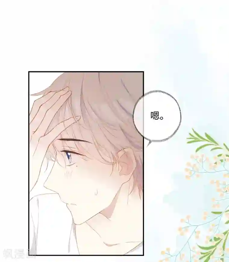 玫瑰陷阱第27话 接下来的事，我不等了