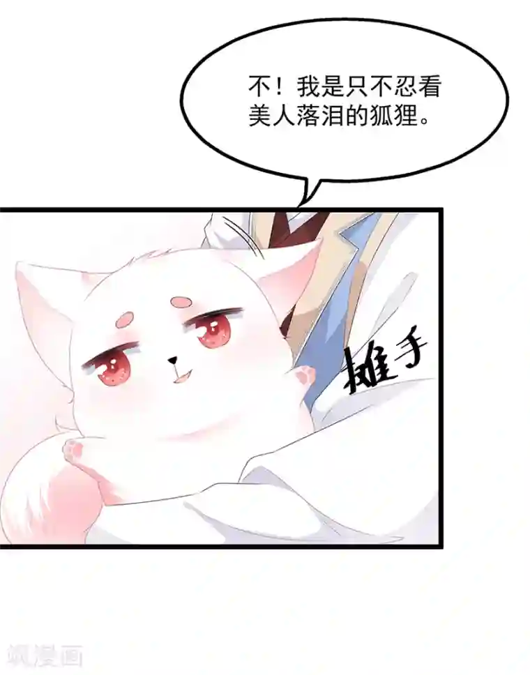 狐妃,别惹我第29话 美人身世