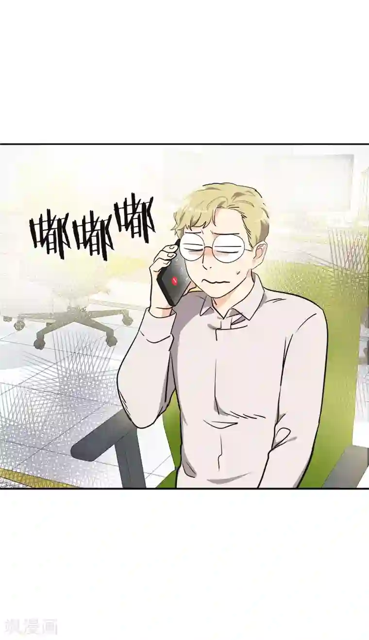 心有独钟第354话 我找沈菲