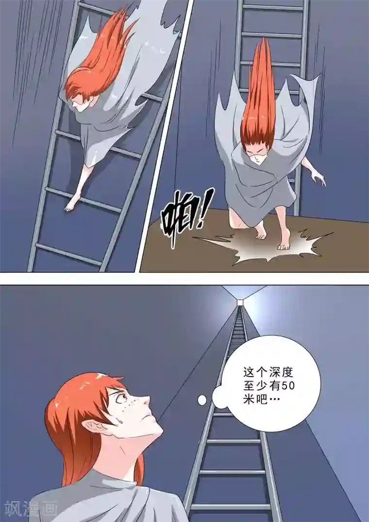 荒野小屋第227话 探索