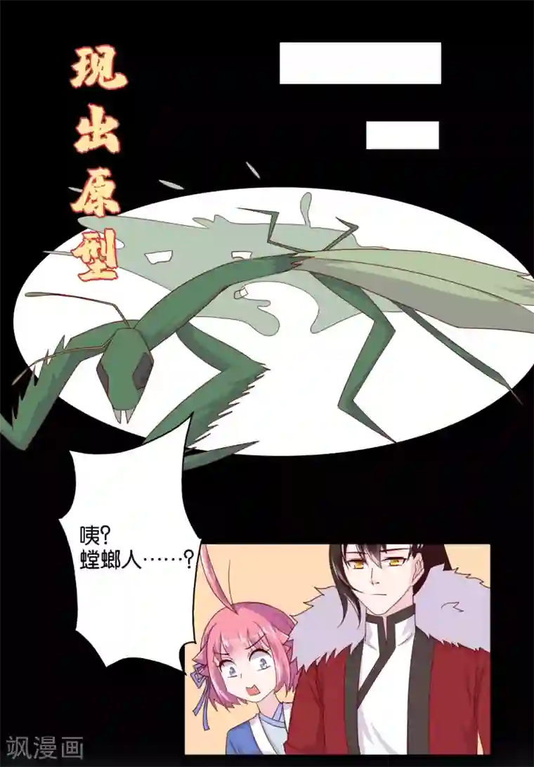 纣王和小仙女的快递第9话 糟糕，是不是被正主盯上了？！