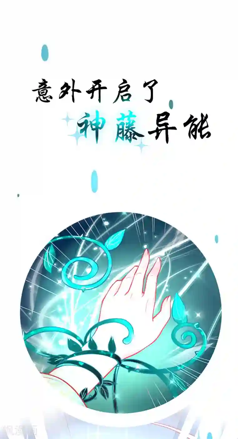 本王妃神藤在手序章