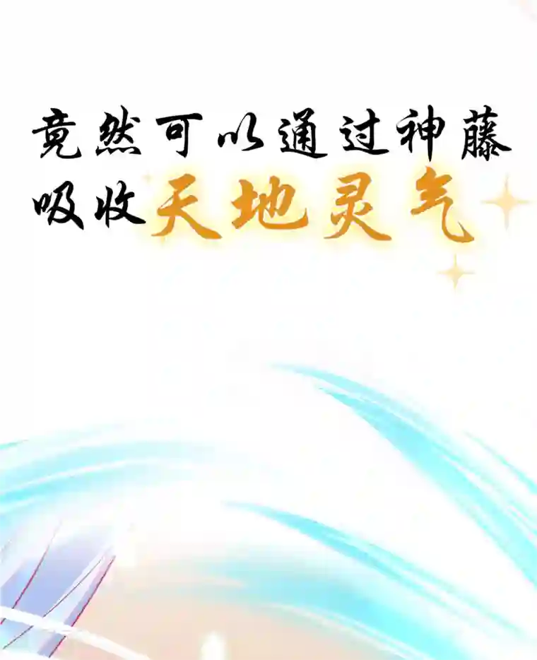 本王妃神藤在手序章