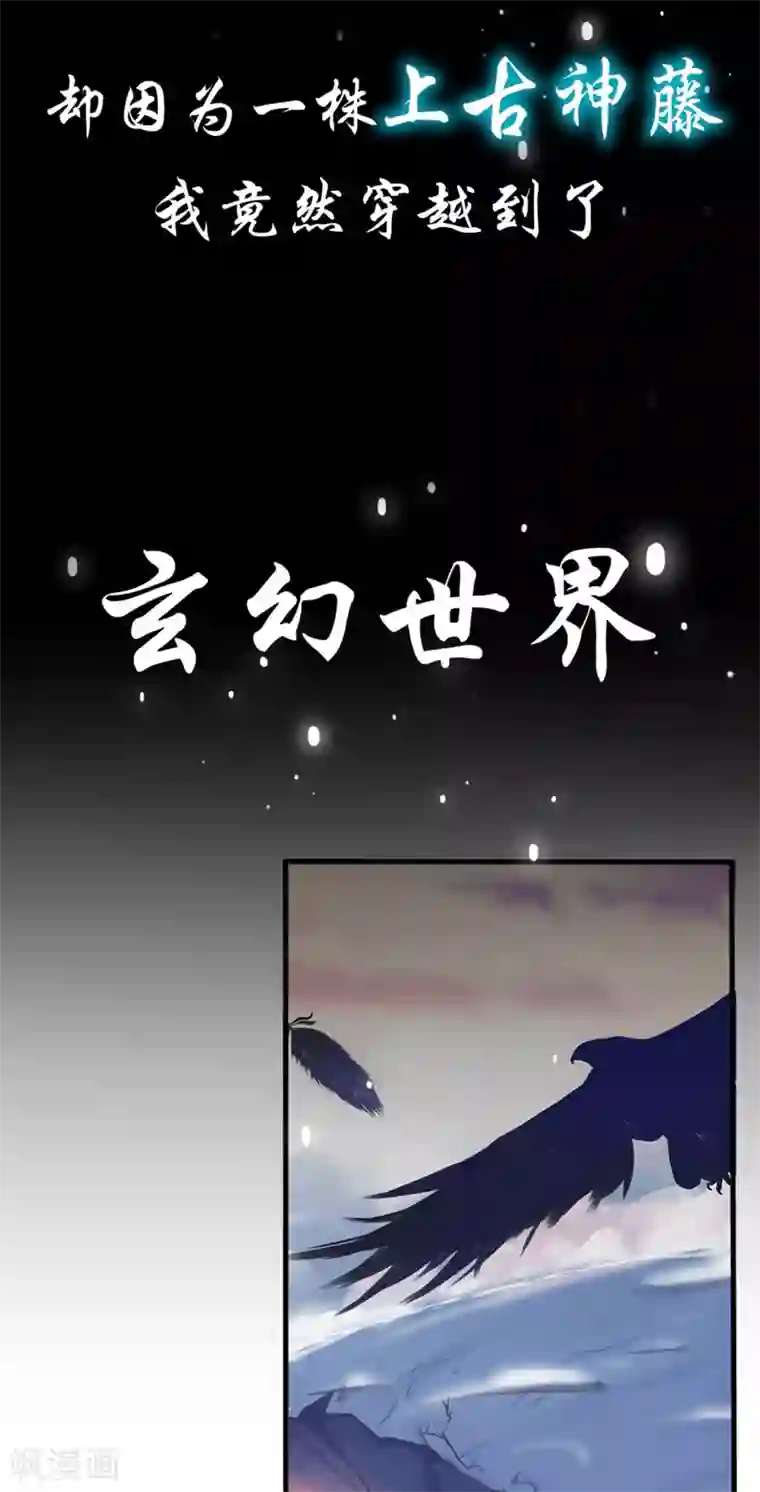 本王妃神藤在手序章