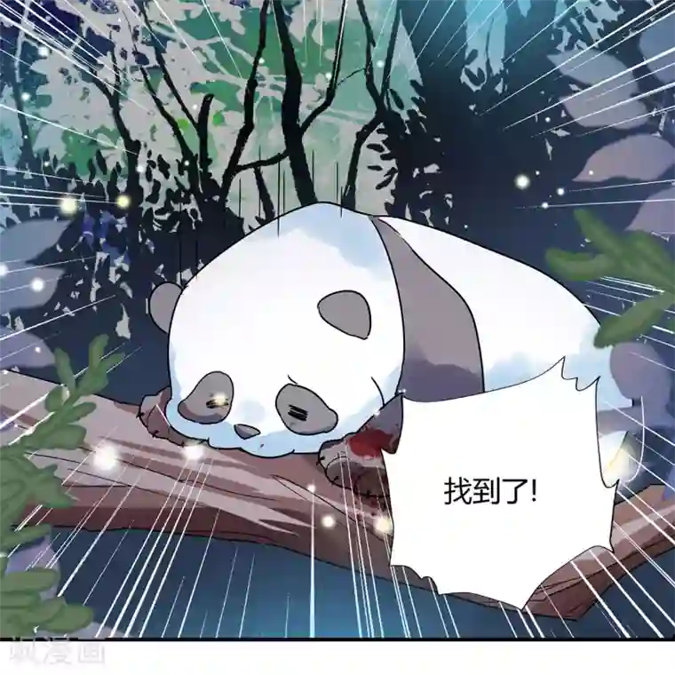 你栖息在我心上第1话 熊猫危机！