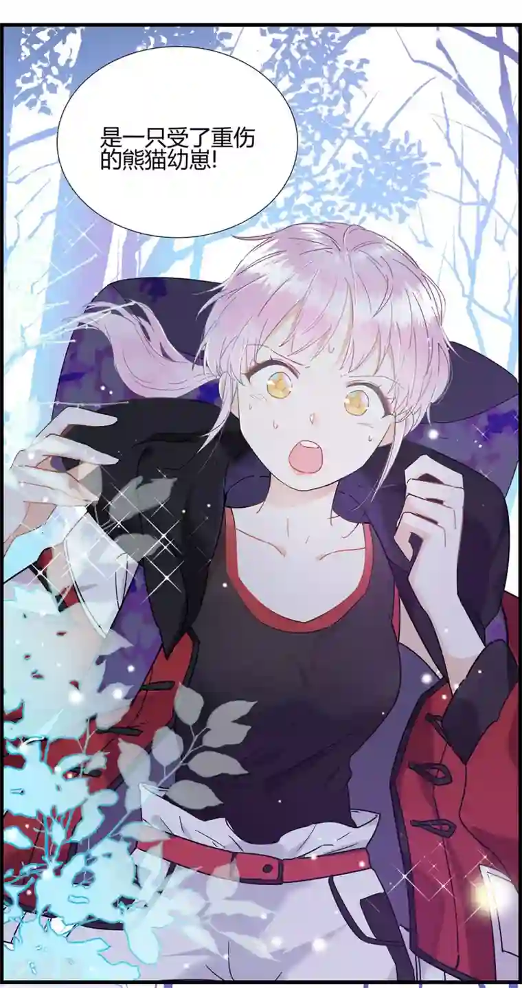 你栖息在我心上第1话 熊猫危机！